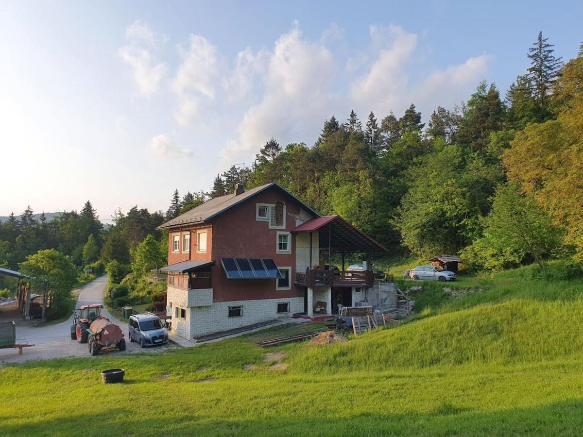 Appartement Apartma Narava à Begunje pri Cerknici Extérieur photo